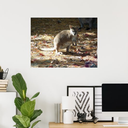Baby Känguru Poster (Heimbüro)