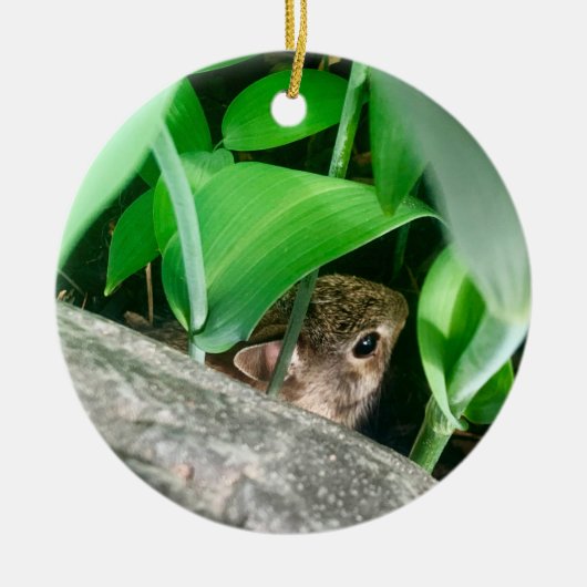 Baby Kaninchen Keramik Ornament (Vorne)