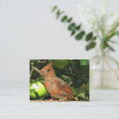 Baby-Kardinal ATC Visitenkarte (Stehend Vorderseite)