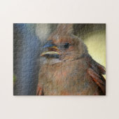 Baby Kardinal Bird Nah-up Fotografie Puzzle (Horizontal)