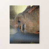 Baby Kardinal Bird Nah-up Fotografie Puzzle (Vertikal)