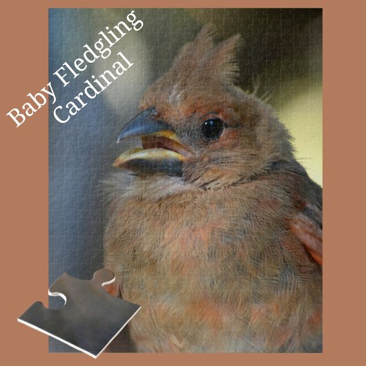 Baby Kardinal Bird Nah-up Fotografie Puzzle