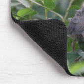 Baby Kardinal Mousepad (Ecke)