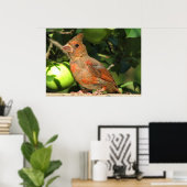 Baby Kardinal Poster (Heimbüro)