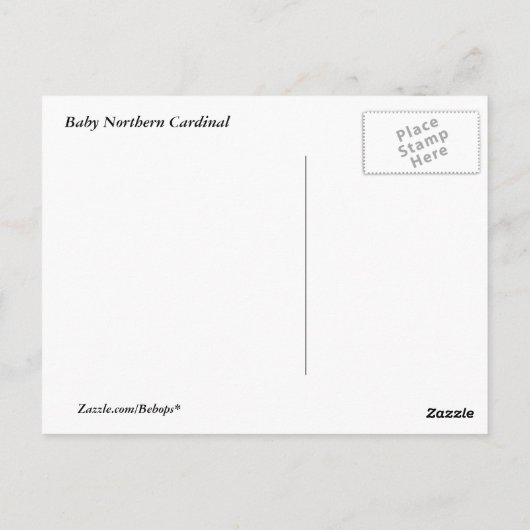 Baby Kardinal Postkarte (Rückseite)