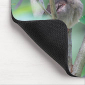 Baby Kardinal Schlafen Mousepad (Ecke)