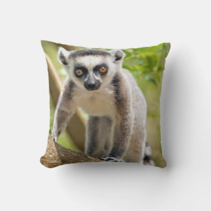 Baby Kattenmaki Kissen