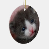Baby-Kätzchen-Verzierungs-Grau u. Weiß Keramikornament (Rechts)