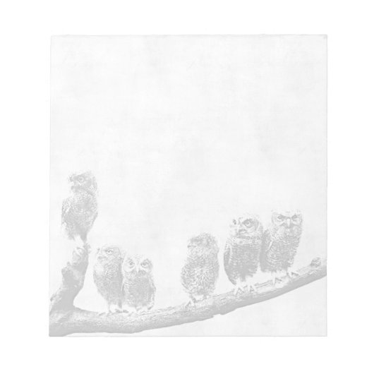 Baby-Kauz-Notizblock Notizblock (Vorderseite)