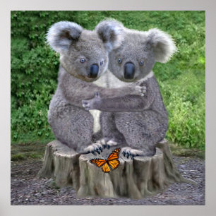 Baby Koala Bär Knuddeln Poster