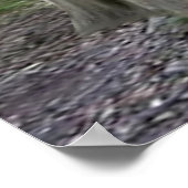 Baby Koala Bear Huggies Poster (Ecke)