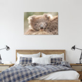 Baby Koala Leinwanddruck (Insitu (Schlafzimmer))