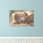 Baby Koala Leinwanddruck (Insitu (Holzboden))