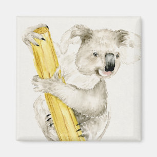 Baby Koala Niedlich & Furry Magnet
