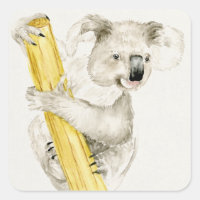 Baby Koala | Niedlich & Furry