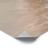 Baby Koala Poster (Ecke)