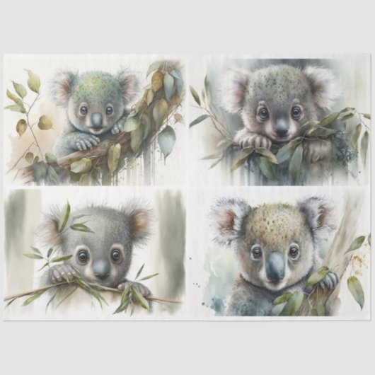 Baby Koalas Seidenpapier (Vorderseite)