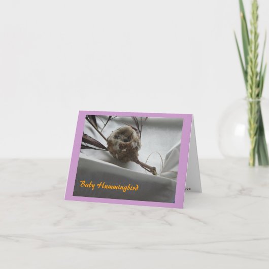 Baby-Kolibri Dankeskarte (Vorderseite)