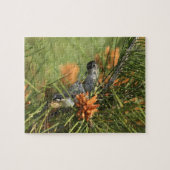 Baby-Kolibri, der von der Mutter gefüttert wird Puzzle (Horizontal)