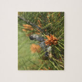 Baby-Kolibri, der von der Mutter gefüttert wird Puzzle (Vertikal)