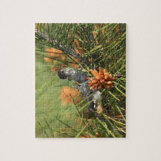 Baby-Kolibri, der von der Mutter gefüttert wird Puzzle (Vertikal)