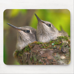 Baby Kolibris Mousepad