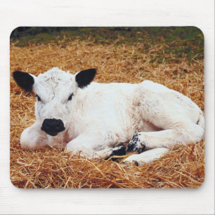 Baby-Kuh, Kalb Mousepad