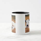 Baby-Kuh, Kalb Tasse (Zentrum)