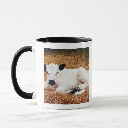 Baby-Kuh, Kalb Tasse (Links)