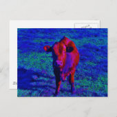 Baby Kuh Lila Gras Postkarte (Vorne/Hinten)