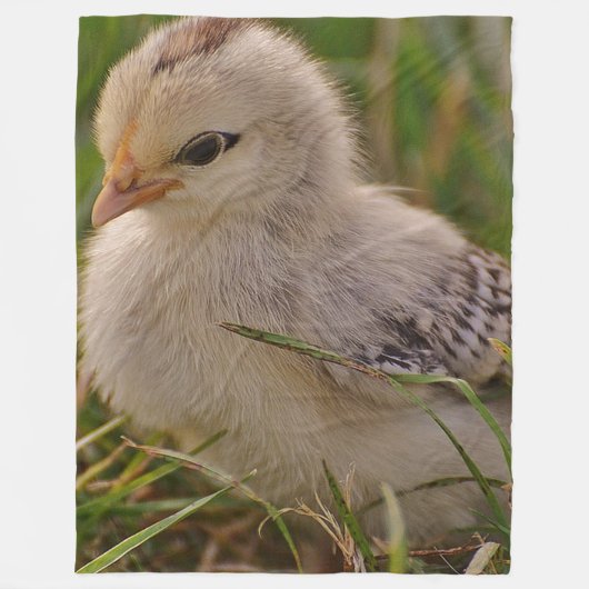Baby-Küken-Fleece-Decke Fleecedecke (Vorderseite)