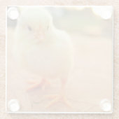 Baby-Küken Glasuntersetzer (Rückseite)