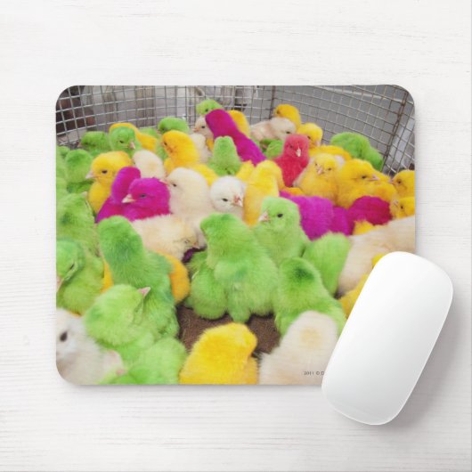 Baby-Küken in einem Stift an einem Markt gefärbt Mousepad (Mit Mouse)