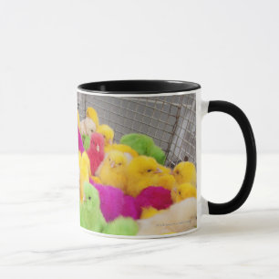 Baby-Küken in einem Stift an einem Markt gefärbt Tasse