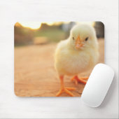 Baby-Küken Mousepad (Mit Mouse)
