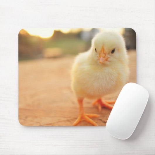 Baby-Küken Mousepad (Mit Mouse)