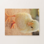 Baby-Küken Puzzle (Horizontal)