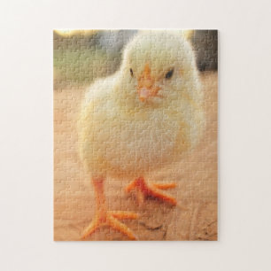 Baby-Küken Puzzle