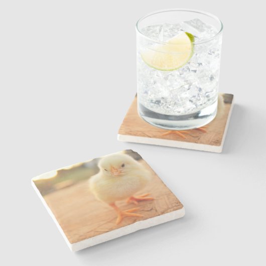 Baby-Küken Steinuntersetzer (Seitenansicht)