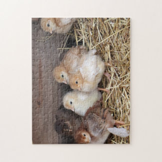 Baby Küken süße Küken landwirtschaftliche Fotograf Puzzle
