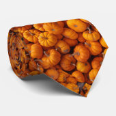 Baby-Kürbis-die Krawatte der orange (Gerollt)