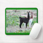 Baby-Lamas Mousepad (Mit Mouse)