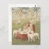 Baby Lamb Dogwood Tree Field Postkarte (Vorne/Hinten)