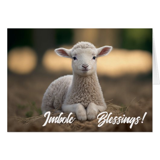 Baby Lamb Imbolc-Segnungen (Vorderseite (Horizontal))