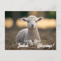 Baby Lamb Imbolc-Segnungen
