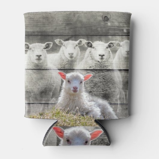 Baby Lamb kann sich abkühlen Dosenkühler (Vorderseite)