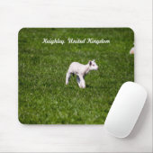 Baby Lamb Mousepad (Mit Mouse)