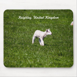Baby Lamb Mousepad