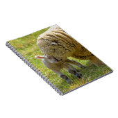 Baby Lamb Notebook Notizblock (Rechte Seite)