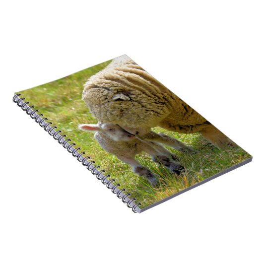 Baby Lamb Notebook Notizblock (Rechte Seite)